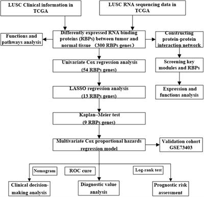 Integrated Analysis of the Functions and Prognostic Values of RNA Binding Proteins in Lung Squamous Cell Carcinoma